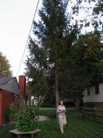 Picture 44