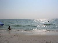 Picture 50